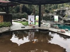 -雅安楠水阁温泉酒店