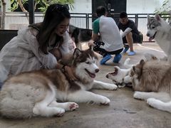 -TrueLove @ Neverland (Husky Cafe)