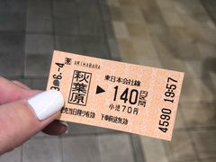 -秋叶原电器街