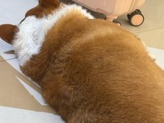 -平行世界·猫咖(首经贸店)