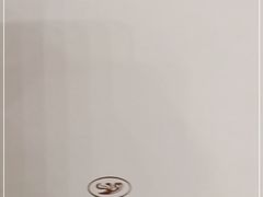 -世纪缘湖滨花园酒店(玄武湖店)