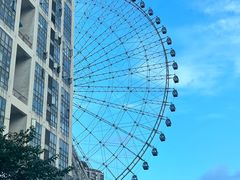 -张氏父子常德肠子馆(贺龙店)