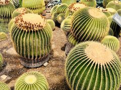 -国家植物园