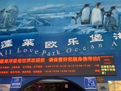 -蓬莱欧乐堡海洋极地世界