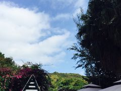 -南丫岛