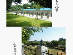 -良成狗狗乐园