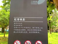 -七宝老街-闵行市民文化广场