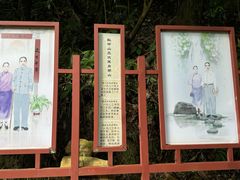 -鼎湖山风景区