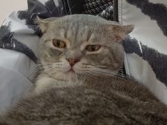 -猫咪派对(江南西店)