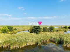 -盐城丹顶鹤湿地生态旅游区