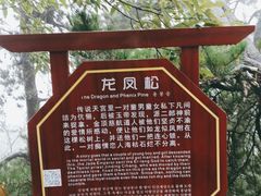 -塔云山
