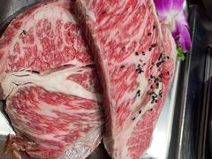 -山野的朋友露营炭火烤肉