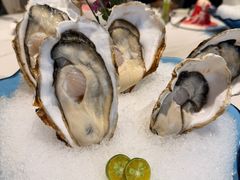 -澳门豆捞(裕华东路店)