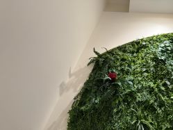 -香秀空间科技抗衰·美容中心