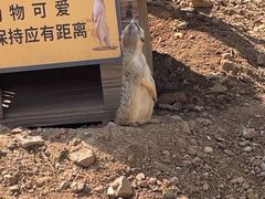 -无锡动物园·太湖欢乐园