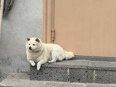 -琥珀川糟粕醋火锅(慈云寺店)