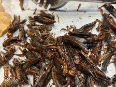 -川骄海鲜自助(亚运村店)