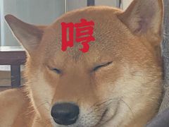 -西安京西宠物医院·瘫痪·疑难杂症