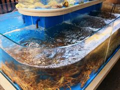 -黑木原精致料理·铁板烧