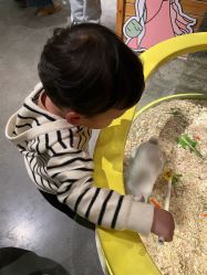 -造物庄园 萌宠纪(苏州湾歌林公园店)