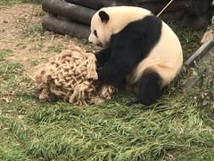 -无锡动物园·太湖欢乐园