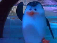 -宁波冰雪大世界(北仑区)