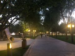 -唐城墙遗址公园