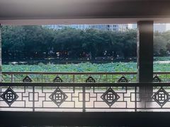 -荔湾湖公园