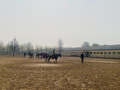 -北京群众马术培训基地