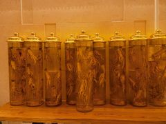 -悦融琥珀·京鲁菜·海味珍品(西单店)