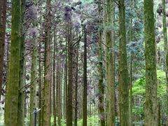 -上色见熊野座神社