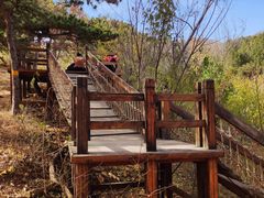 -北京西山国家森林公园