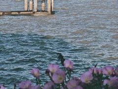 -贡湖湾湿地公园