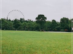 -洋湖国家湿地公园