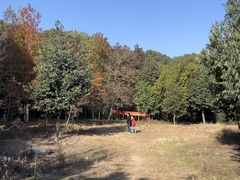 -杭州半山国家森林公园