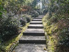-长沙黑麋峰国家森林公园