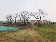 -明中都皇故城及皇陵石刻