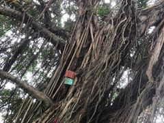 -船政文化景区-罗星塔公园
