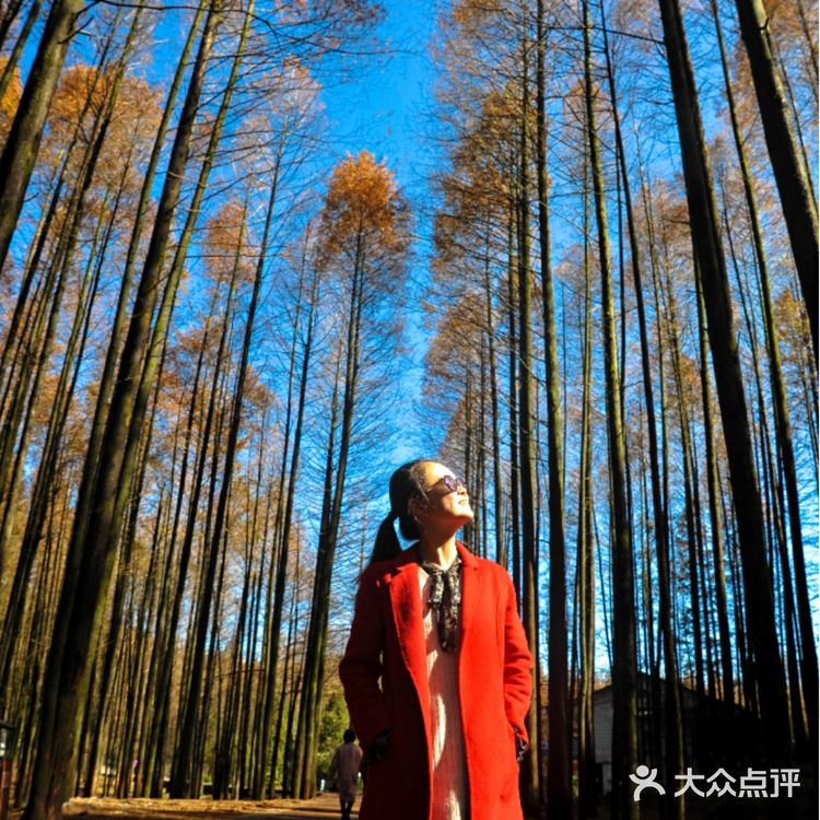 重庆旅游攻略——山王坪,一条路分割夏与秋