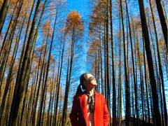 -山王坪喀斯特国家生态公园