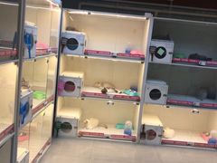 -lincat·猫舍(广州店)