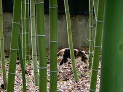 -上海市龙华烈士陵园