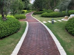 -中共上海市委党校 上海行政学院