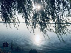 -丁香湖公园
