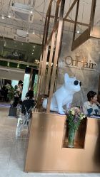 -OnHair Salon