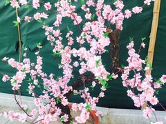 -归元·云集斋素菜馆