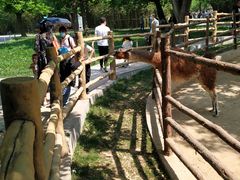 -西安秦岭野生动物园