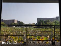 -3W咖啡(国家软件园店)