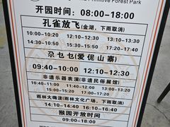 -西双版纳原始森林公园