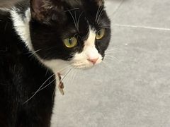 -原田新料理(1912店)